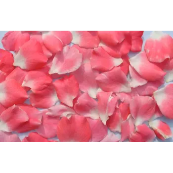Fresh Rose Petals